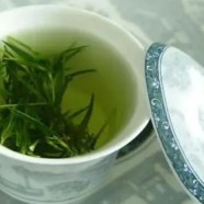 上饶白眉保质期