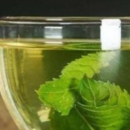 千岛玉叶绿茶价格