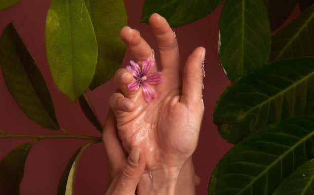 玫瑰花茶上火吗还是去火