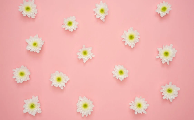 经常喝茉莉花茶好吗.png 经常喝茉莉花茶好吗.png