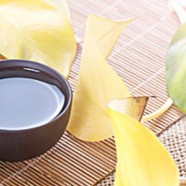 安吉白茶是属于什么茶类