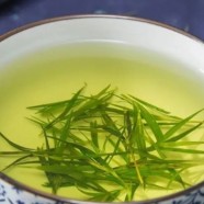 信阳毛尖和碧螺春哪个好