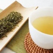 湖北当阳仙人掌茶