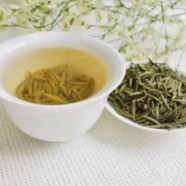 双井绿茶是炒青绿茶吗