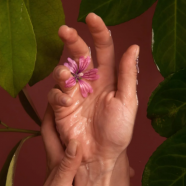 玫瑰花茶上火吗还是去火