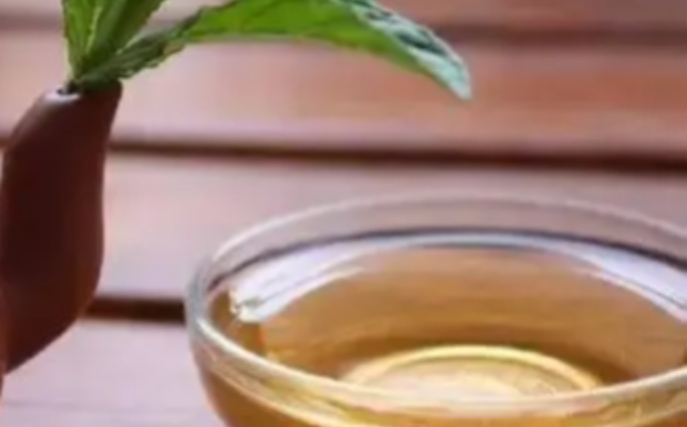 庐山云雾茶的特征.jpg 庐山云雾茶的特征.jpg