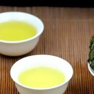 黄山毛峰什么季节喝好