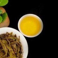 惠明茶的故事