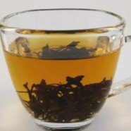敬亭绿雪典故