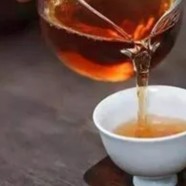 仙人掌茶是什么茶