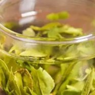 天尊贡芽茶叶价格
