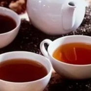 双桥毛尖茶的泡法及功效