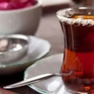 建德苞茶茶园在哪里
