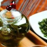 老竹大方茶有何采摘需要
