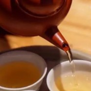 浙江建德苞茶