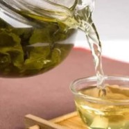 午子仙毫茶功效作用有哪些