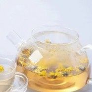 千岛玉叶价格走势