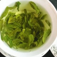明前六安瓜片多少钱一斤