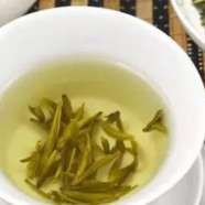 黄竹白毫茶的介绍及其饮用方法
