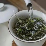 恩施玉露茶叶怎么样