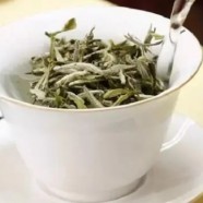 敬亭绿雪是什么茶