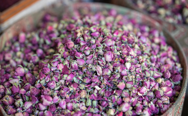 桃花茶泡水喝竟有6个害处,你知道吗