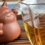安吉白茶产于我国的哪一个省