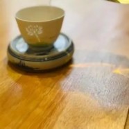 天山绿茶属于烘青绿茶吗
