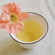 庐山云雾茶哪个品牌正宗
