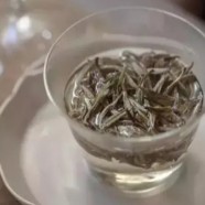 敬亭绿雪10月份可以买吗