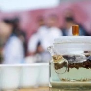 安吉白片的主要功效与保健功能
