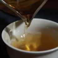 仙人掌泡茶喝会引起尿酸高吗