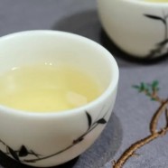 午子仙毫茶树品种