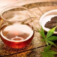 江山绿牡丹茶的特点是什么