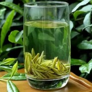 午子仙毫茶怎么样