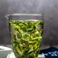 桐庐天尊贡芽介绍