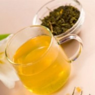 千岛玉叶新手喝茶指南