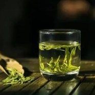 云雾茶叶是哪里