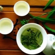恩施玉露多少钱一斤是好茶