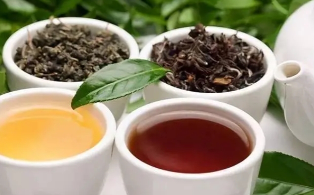 广西桂平西山茶怎么样.jpg