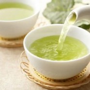 岳西翠兰茶保质期几年