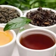 广西桂平西山茶怎么样