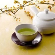 双井绿茶和龙井哪个好喝