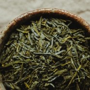麻姑绿茶价格
