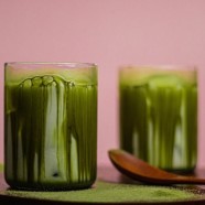 安吉白茶多少钱一斤