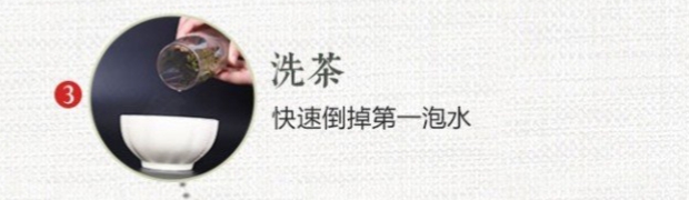 碧螺春图片修改-3.jpg