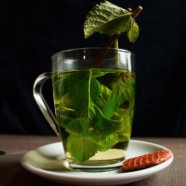 麻姑茶的制作过程