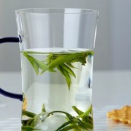 雨花茶为什么不出名
