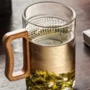 仙人掌茶的生长环境如何