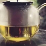 千岛玉叶泡制注意事项
